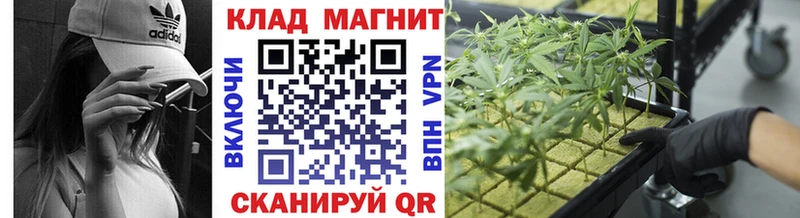 Галлюциногенные грибы Великие Луки